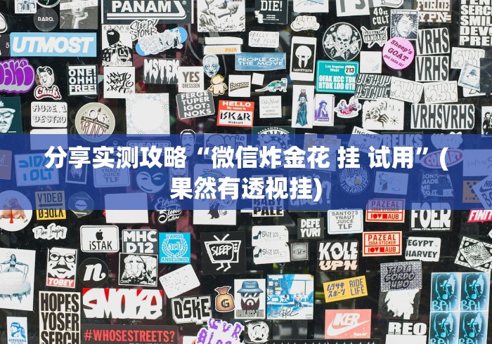 辅助开挂神器“悟空大厅拼三张技巧”(透视挂)详细用法教程