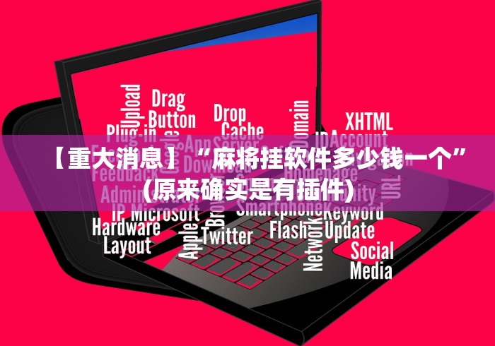 【重大消息】“麻将挂软件多少钱一个”(原来确实是有插件)