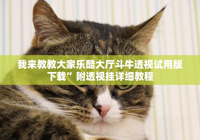 我来教教大家乐酷大厅斗牛透视试用版下载”附透视挂详细教程
