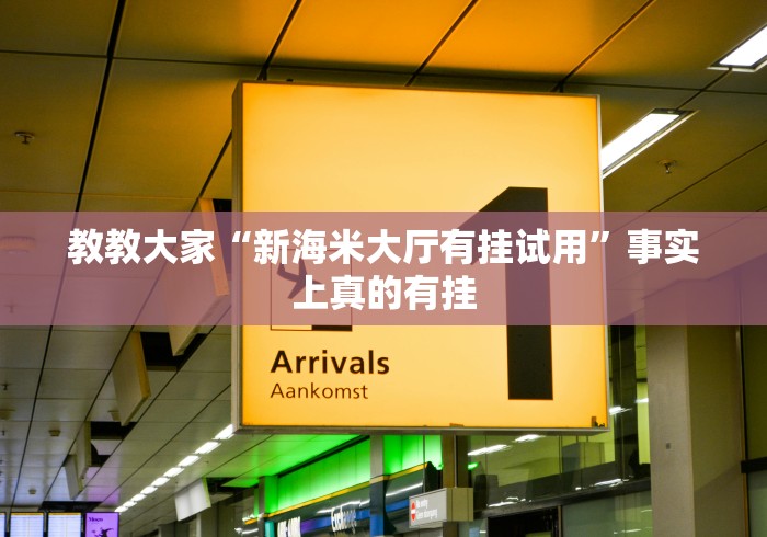 教教大家“新海米大厅有挂试用	”事实上真的有挂