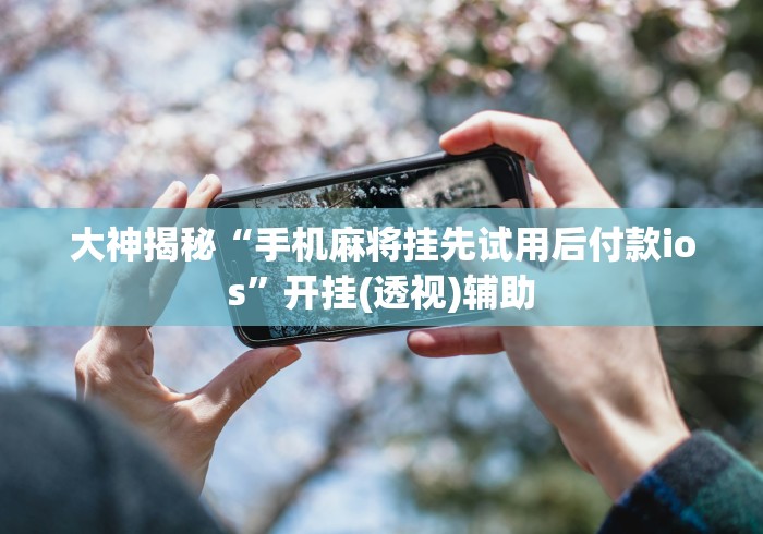 辅助神器“麻将挂花的最佳方法”-原来有挂
