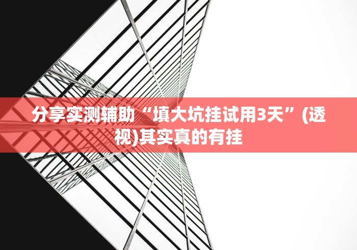 分享实测辅助“填大坑挂试用3天	”(透视)其实真的有挂