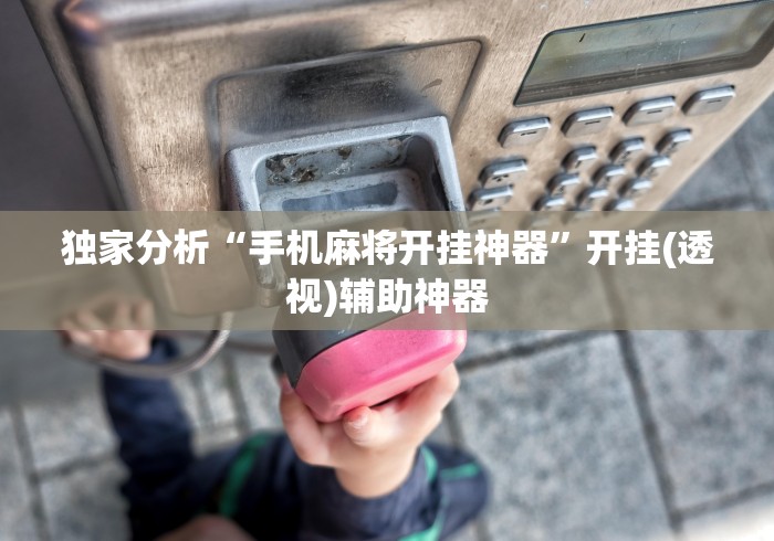 独家分析“手机麻将开挂神器	”开挂(透视)辅助神器