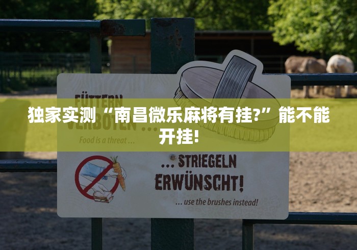 独家实测“手机十三张辅助器[确实真的有挂]