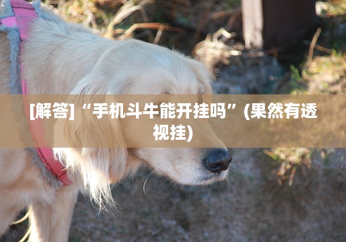 [解答]“手机斗牛能开挂吗”(果然有透视挂)