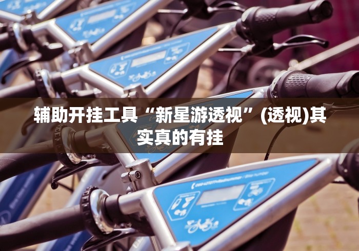 辅助开挂工具“新星游透视”(透视)其实真的有挂