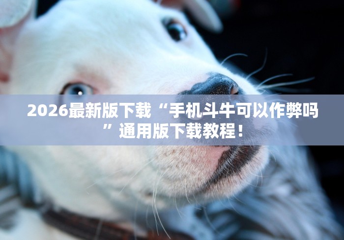 7分钟揭秘"微信赣牌圈辅助	”开挂(透视)辅助教程