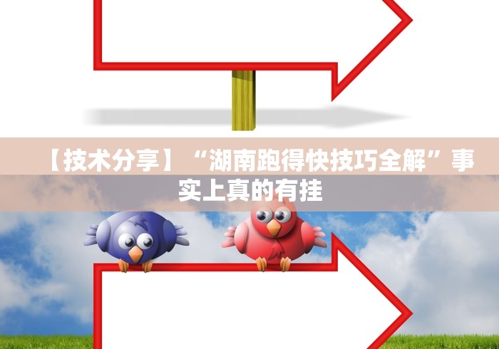 玩家必学攻略“八闽掌上麻将十三水挂”确实有挂
