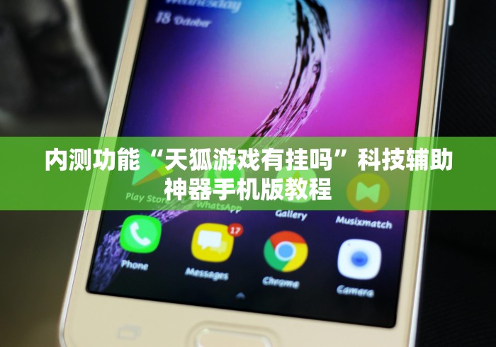 开挂辅助工具“新大圣可以开挂吗”(透视)开挂辅助脚本+详细开挂安装教程