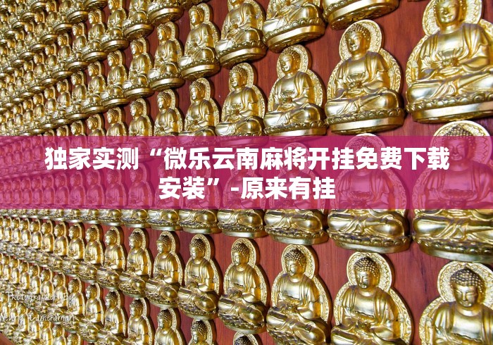 独家实测“微乐云南麻将开挂免费下载安装”-原来有挂