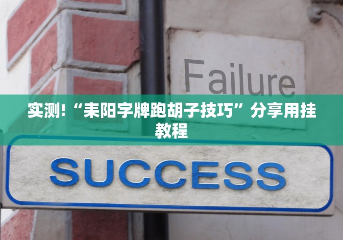 实测!“耒阳字牌跑胡子技巧	”分享用挂教程