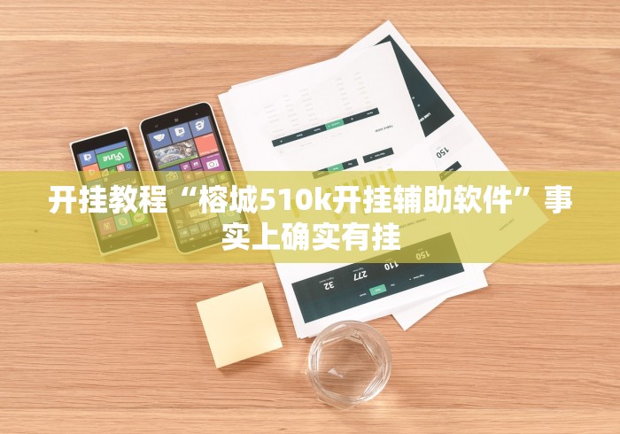 使用分享“填大坑开挂辅助软件”详细辅助软件教程
