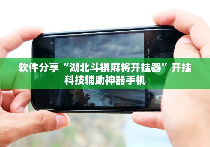 软件分享“湖北斗棋麻将开挂器”开挂科技辅助神器手机
