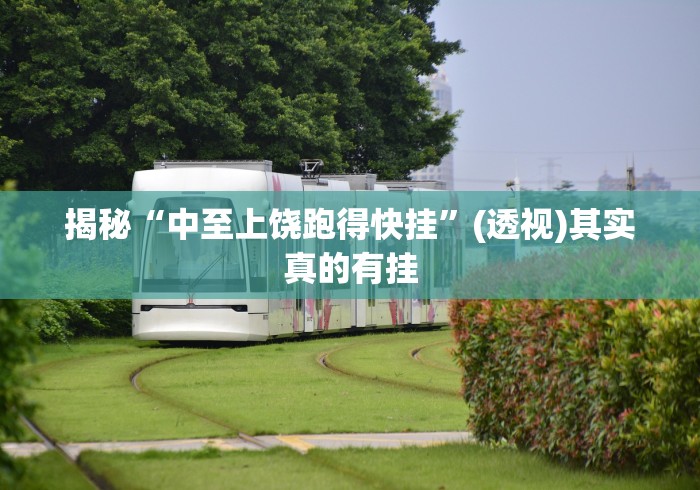 揭秘“中至上饶跑得快挂”(透视)其实真的有挂