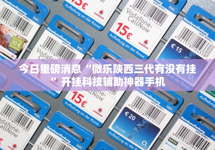 3分钟教程“微乐老是输”详细外挂安装步骤