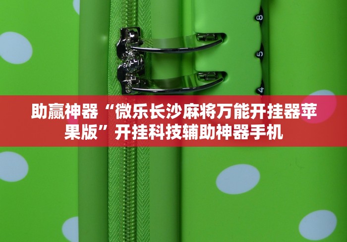 玩家爆料“微乐微信小程序咋样赢	”(原来确实是有插件) 