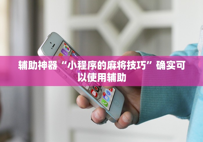 辅助神器“小程序的麻将技巧”确实可以使用辅助