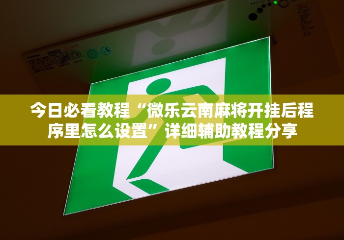 今日必看教程“微乐云南麻将开挂后程序里怎么设置”详细辅助教程分享