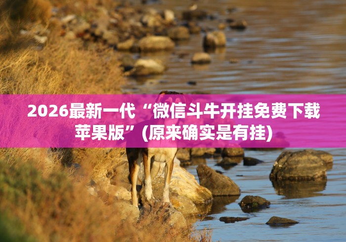 全新解说朋友安徽麻将可以开挂吗	”必胜开挂神器