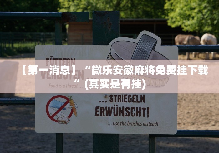 【第一消息】“微乐安徽麻将免费挂下载	”(其实是有挂)