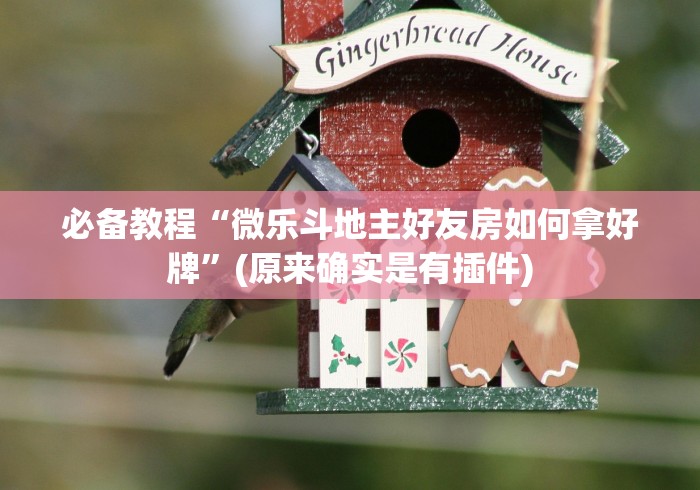 必备教程“微乐斗地主好友房如何拿好牌”(原来确实是有插件)