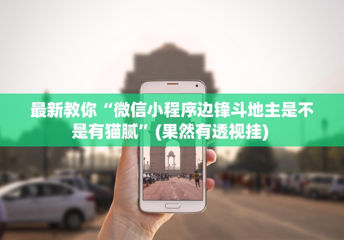 最新教你“微信小程序边锋斗地主是不是有猫腻”(果然有透视挂) 