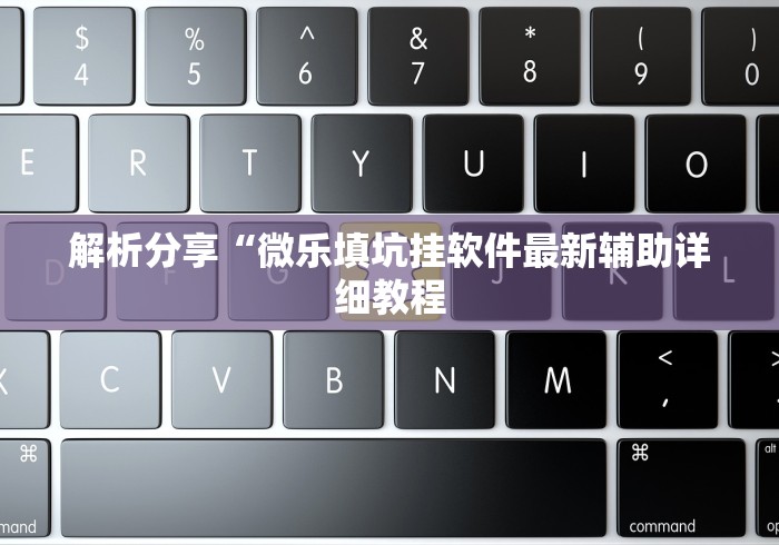 解析分享“微乐填坑挂软件最新辅助详细教程 解析分享“微乐填坑挂软件最新辅助详细教程