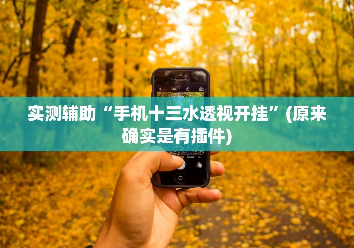 实测辅助“手机十三水透视开挂”(原来确实是有插件)
