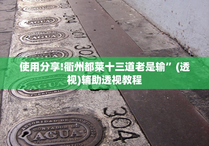 玩家必学攻略“丫丫跑胡子有挂吗”(果然有透视挂)