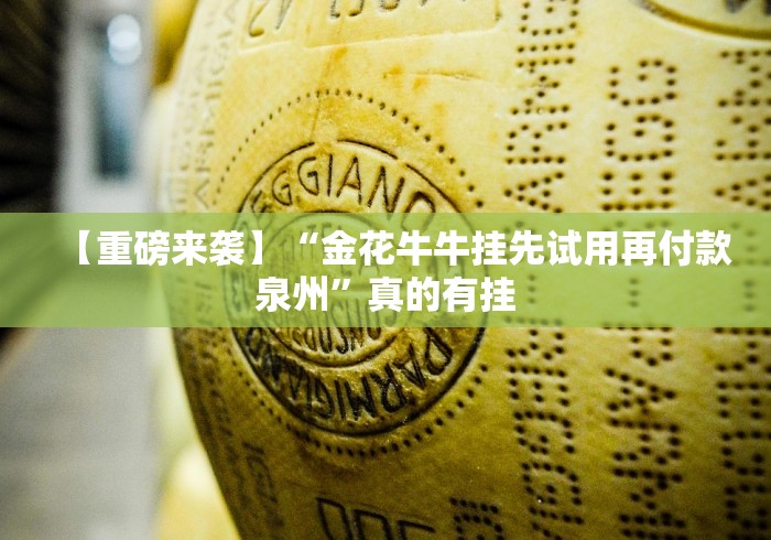 【重磅来袭】“金花牛牛挂先试用再付款泉州	”真的有挂