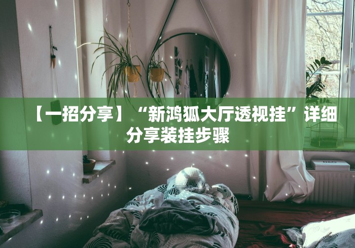 【一招分享】“新鸿狐大厅透视挂	”详细分享装挂步骤