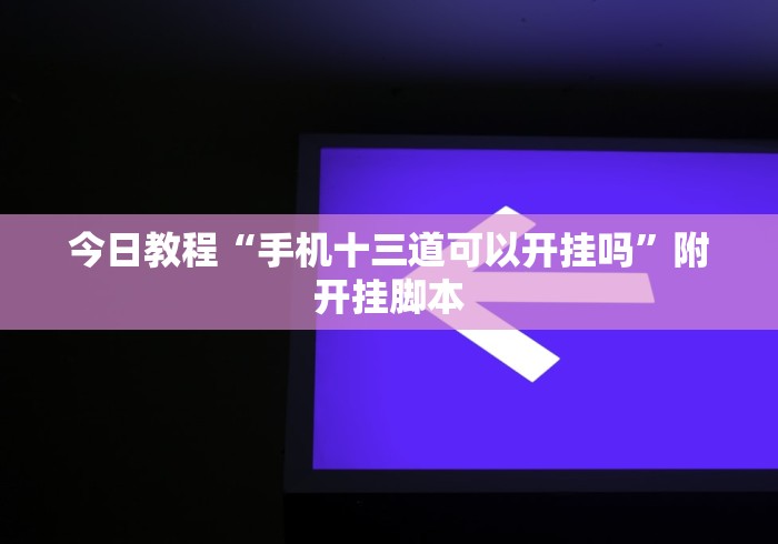 今日教程“手机十三道可以开挂吗”附开挂脚本