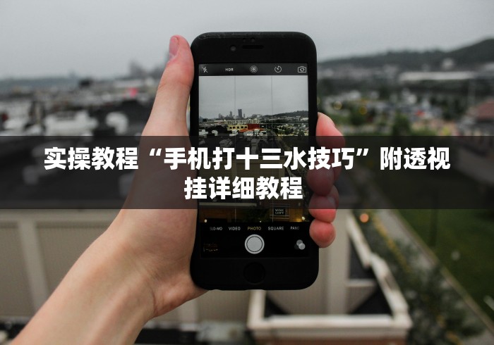实操教程“手机打十三水技巧”附透视挂详细教程 