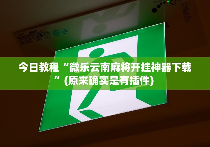 今日教程“微乐云南麻将开挂神器下载	”(原来确实是有插件) 