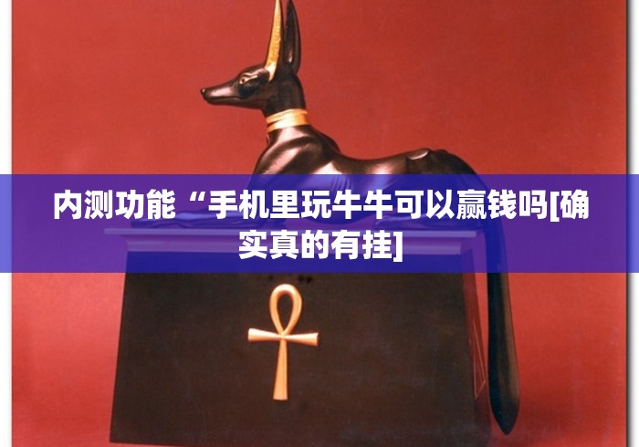 内测功能“手机里玩牛牛可以赢钱吗[确实真的有挂]