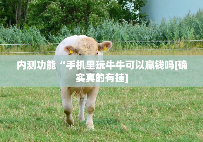 热点推荐“微乐江苏麻将怎么能赢”原来有神器下载!