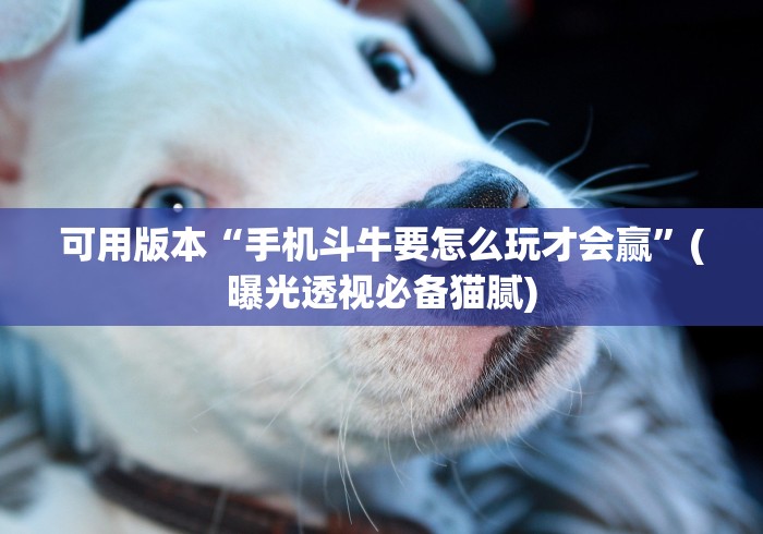 可用版本“手机斗牛要怎么玩才会赢	”(曝光透视必备猫腻)
