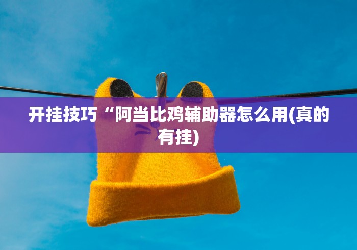 开挂技巧“阿当比鸡辅助器怎么用(真的有挂)
