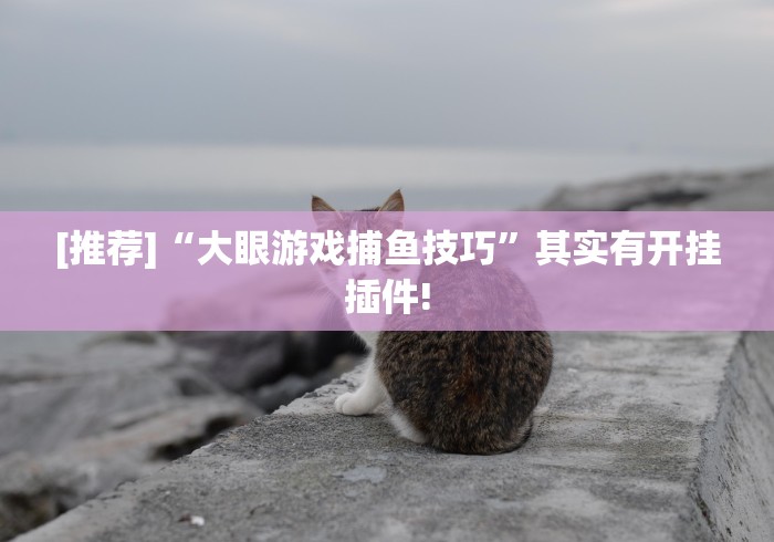 [推荐]“大眼游戏捕鱼技巧	”其实有开挂插件!