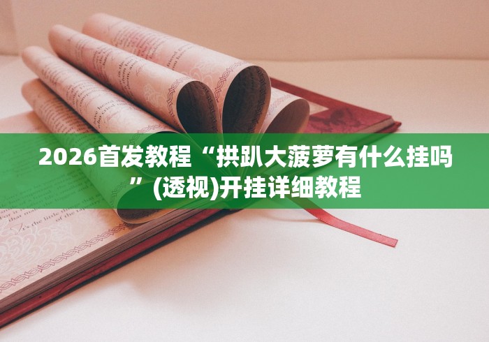 2026首发教程“拱趴大菠萝有什么挂吗	”(透视)开挂详细教程