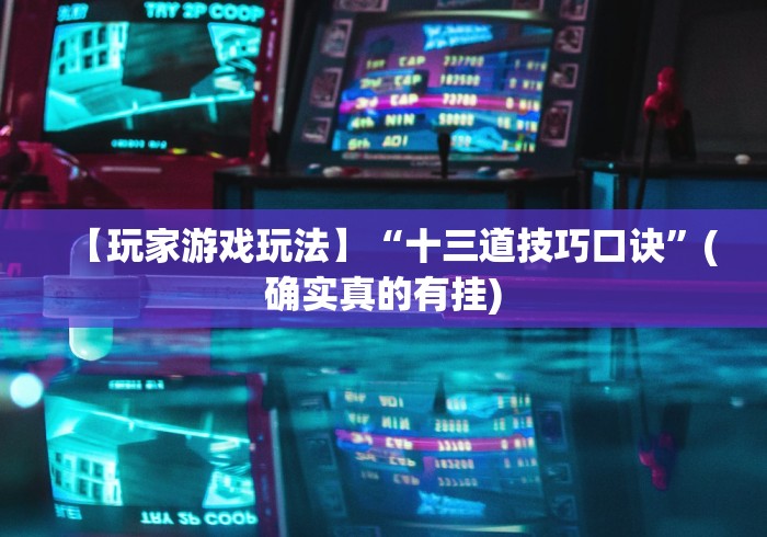 【玩家游戏玩法】“十三道技巧口诀”(确实真的有挂)