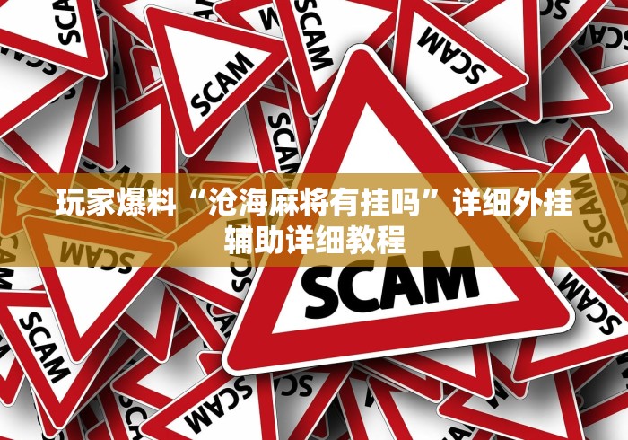 玩家爆料“沧海麻将有挂吗	”详细外挂辅助详细教程