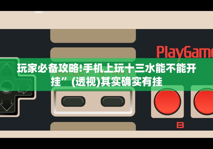 玩家必备攻略!手机上玩十三水能不能开挂	”(透视)其实确实有挂