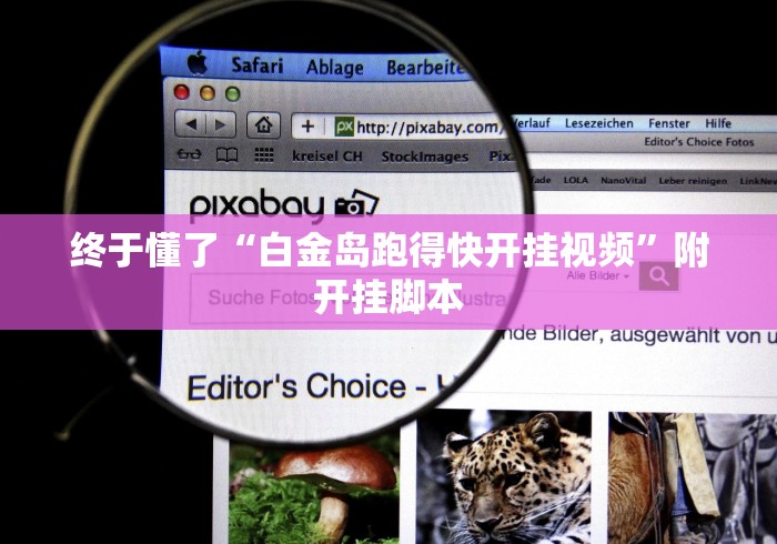 终于懂了“白金岛跑得快开挂视频	”附开挂脚本