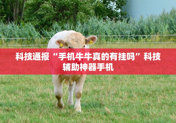 科技通报“手机牛牛真的有挂吗	”科技辅助神器手机