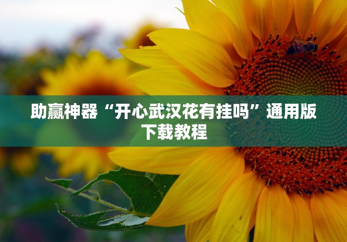 助赢神器“开心武汉花有挂吗	”通用版下载教程