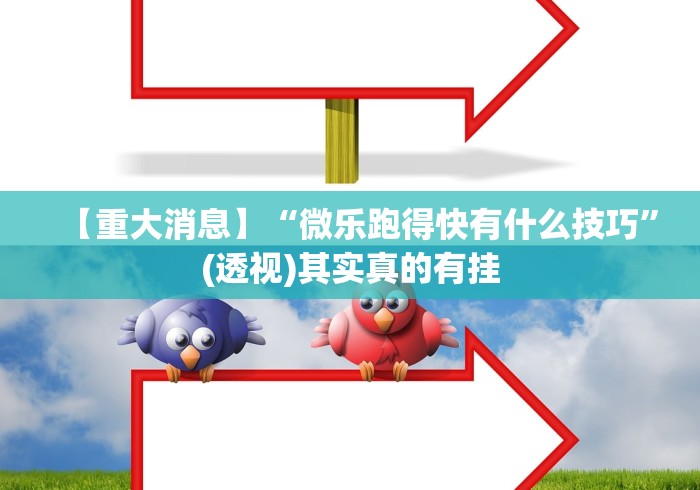 【重大消息】“微乐跑得快有什么技巧	”(透视)其实真的有挂