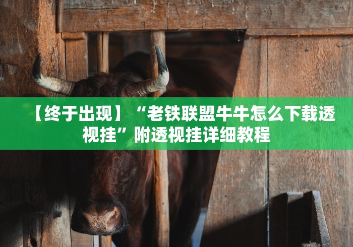 【终于出现】“老铁联盟牛牛怎么下载透视挂”附透视挂详细教程