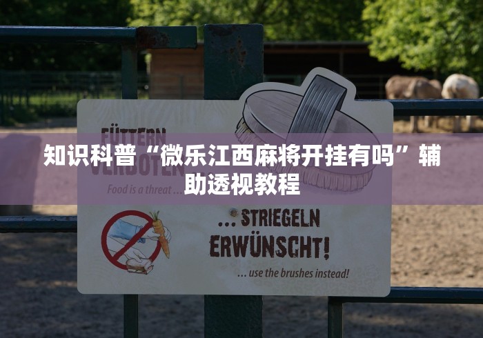[推荐]“新荣耀大厅有挂吗”详细辅助软件教程
