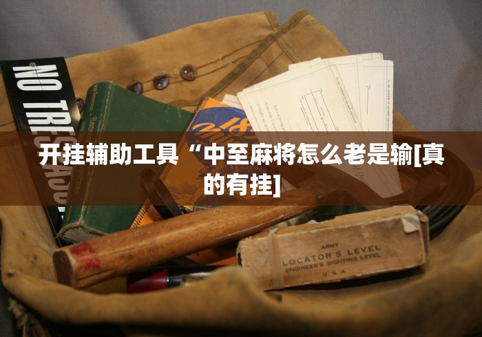 开挂辅助工具“中至麻将怎么老是输[真的有挂]